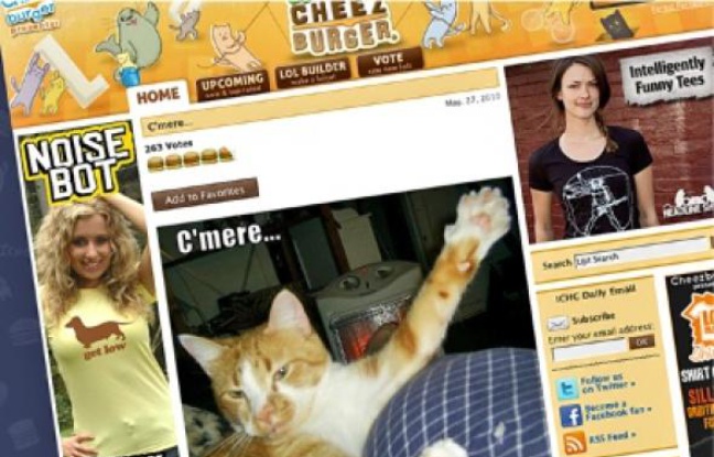 Le chat est aujourd'hui « le truc le plus viral, le plus drôle qui existe sur Internet ». Le chat est aujourd'hui « le truc le plus viral, le plus drôle qui existe sur Internet ».