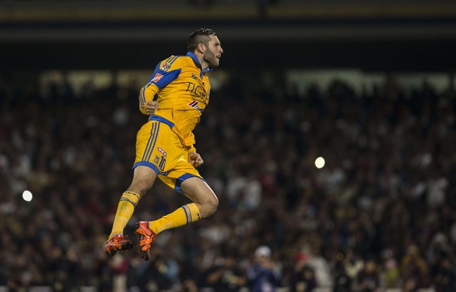 André-Pierre Gignac avec les Tigres contre les Pumas, le 13 décembre 2015. André-Pierre Gignac avec les Tigres contre les Pumas, le 13 décembre 2015.