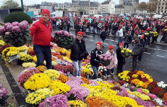 Les «bonnets rouges» ont disposé des chrysanthèmes sur la place de la Résistance, à Quimper (Finistère), ce samedi 2 novembre. Les «bonnets rouges» ont disposé des chrysanthèmes sur la place de la Résistance, à Quimper (Finistère), ce samedi 2 novembre.