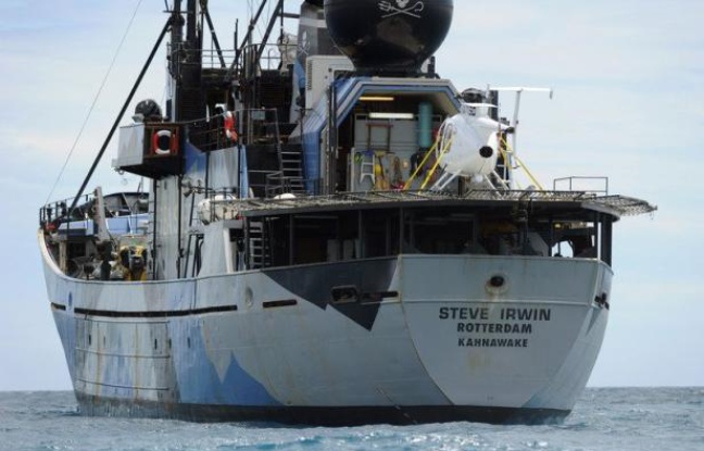 Des militants écologistes ont attaqué à la peinture et au fumigène la flotte baleinière japonaise dans l'océan Antarctique, ont annoncé jeudi les autorités de la pêche nippone. Des militants écologistes ont attaqué à la peinture et au fumigène la flotte baleinière japonaise dans l'océan Antarctique, ont annoncé jeudi les autorités de la pêche nippone.