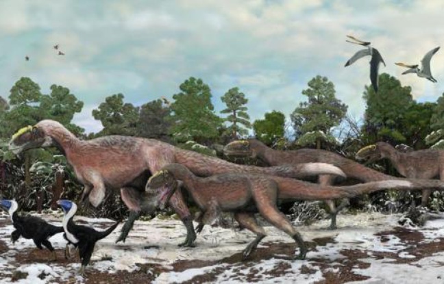 Au royaume des dinosaures, le légendaire tyrannosaure vient de se découvrir un petit cousin couvert de plumes qui, avec 9 mètres de long et un poids d'environ 1,4 tonne, devient tout de même le plus gros animal à plumes jamais identifié. Au royaume des dinosaures, le légendaire tyrannosaure vient de se découvrir un petit cousin couvert de plumes qui, avec 9 mètres de long et un poids d'environ 1,4 tonne, devient tout de même le plus gros animal à plumes jamais identifié.