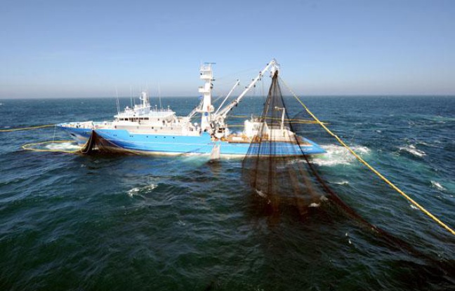Un thonier retire son filet de l'eau durant une sortie en mer au large de Concarneau, le 2 juin 2009. Un thonier retire son filet de l'eau durant une sortie en mer au large de Concarneau, le 2 juin 2009.