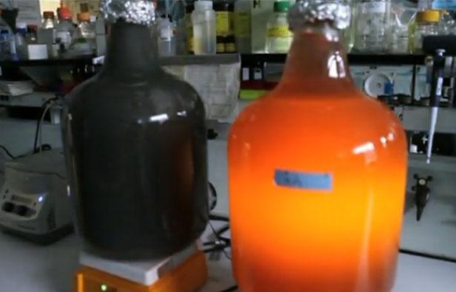 Capture d'écran d'un reportage de Reuters sur un bioréacteur pour générateur électrique utilisant des déchets toxiques comme carburant, à l'Argonne national laboratory (Etats-Unis). Capture d'écran d'un reportage de Reuters sur un bioréacteur pour générateur électrique utilisant des déchets toxiques comme carburant, à l'Argonne national laboratory (Etats-Unis).