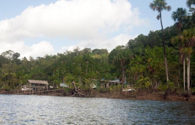 Un membre de la bande impliquée dans le meurtre de deux militaires français fin juin en Guyane (département français en Amérique du Sud), a été arrêté lundi soir par la gendarmerie, après deux mois de traque, a-t-on appris mardi de source judiciaire. Un membre de la bande impliquée dans le meurtre de deux militaires français fin juin en Guyane (département français en Amérique du Sud), a été arrêté lundi soir par la gendarmerie, après deux mois de traque, a-t-on appris mardi de source judiciaire.