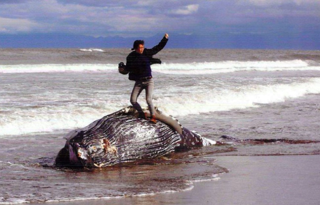 La photo d'un homme sur une baleine morte a provoqué une polémique au Japon. La photo d'un homme sur une baleine morte a provoqué une polémique au Japon.