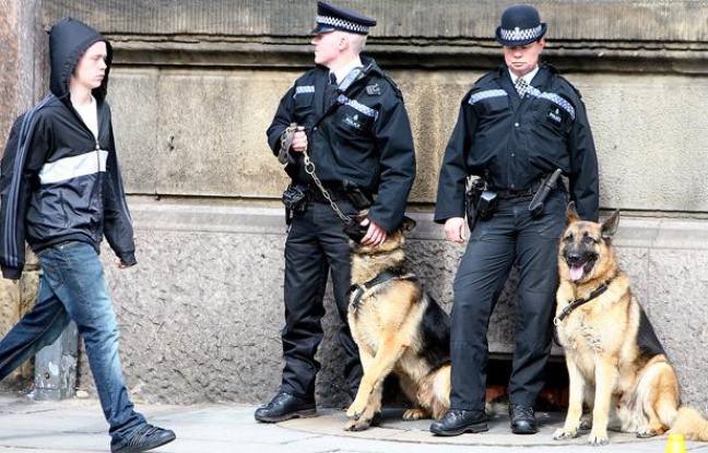 Des policiers anglais et leurs chiens, le 17 avril 2008 à Londres. Des policiers anglais et leurs chiens, le 17 avril 2008 à Londres.
