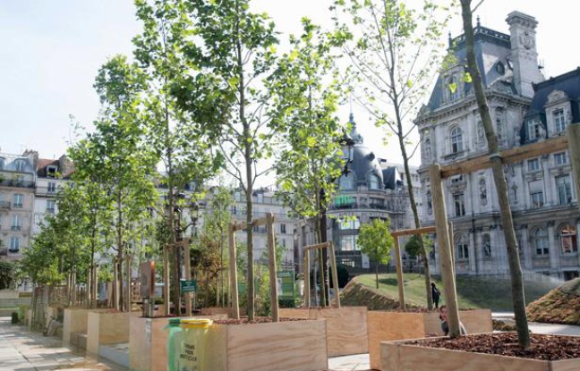 Jardin éphémère devant l'Hotel de Ville de Paris, en juin 2011. Jardin éphémère devant l'Hotel de Ville de Paris, en juin 2011.