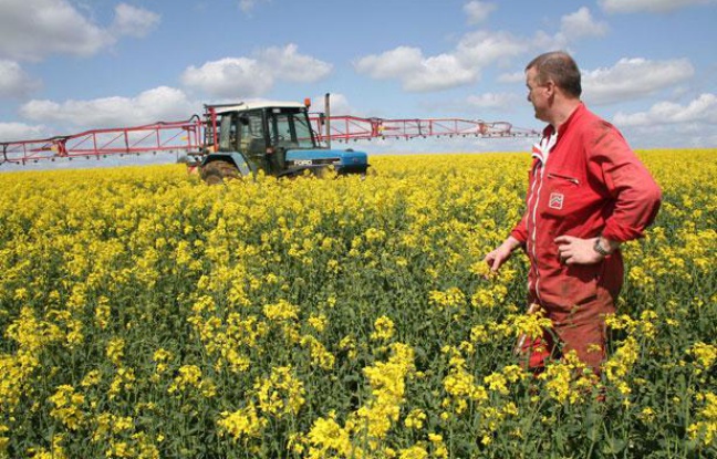 Les agriculteurs français retrouvent le sourire après une année 2009 noire Les agriculteurs français retrouvent le sourire après une année 2009 noire