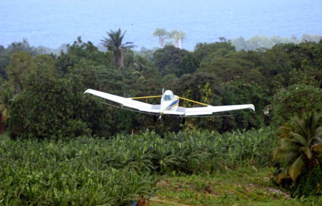 Epandage de pesticides sur des bananiers en Guadeloupe. Epandage de pesticides sur des bananiers en Guadeloupe.