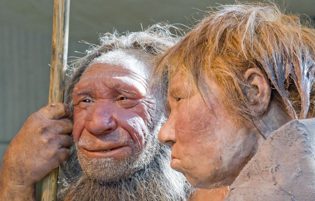 Reconstitution d'hommes de Néanderthal au Neanderthal museum de Mettmann (Allemagne), le 20 mars 2009. Reconstitution d'hommes de Néanderthal au Neanderthal museum de Mettmann (Allemagne), le 20 mars 2009.