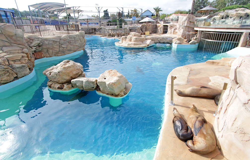 Code promo marineland rencontre avec les dauphins