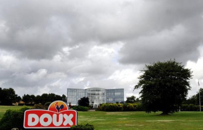 Le groupe Doux, leader européen de la volaille, en graves difficultés financières, a indiqué qu'il pourrait déposer son bilan dès vendredi et demander à être placé en redressement judiciaire s'il ne parvenait pas à trouver un compromis avec ses créanciers. Le groupe Doux, leader européen de la volaille, en graves difficultés financières, a indiqué qu'il pourrait déposer son bilan dès vendredi et demander à être placé en redressement judiciaire s'il ne parvenait pas à trouver un compromis avec ses créanciers.