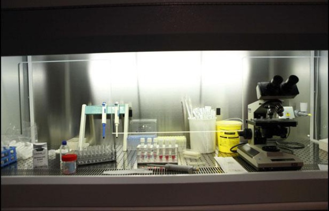 Du matériel pour procréation médicalement assistée à la Clinique spécialisée de la Muette de Paris. Du matériel pour procréation médicalement assistée à la Clinique spécialisée de la Muette de Paris.