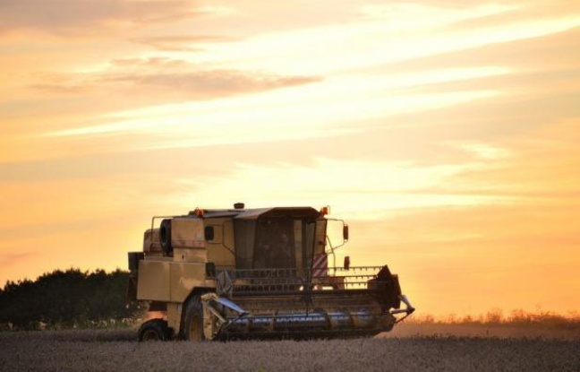 Les agriculteurs européens risquent de faire les frais du bras de fer que se livrent les gouvernements européens sur le futur budget de l'UE qui pourrait entraver l'entrée en vigueur de la nouvelle Politique agricole commune (PAC) prévue le 1er janvier 2014. Les agriculteurs européens risquent de faire les frais du bras de fer que se livrent les gouvernements européens sur le futur budget de l'UE qui pourrait entraver l'entrée en vigueur de la nouvelle Politique agricole commune (PAC) prévue le 1er janvier 2014.