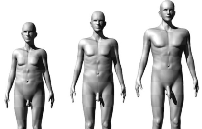 Les silhouettes présentées à des femmes par des scientifiques australiens pour évaluer leur attrait sexuel. Les silhouettes présentées à des femmes par des scientifiques australiens pour évaluer leur attrait sexuel.