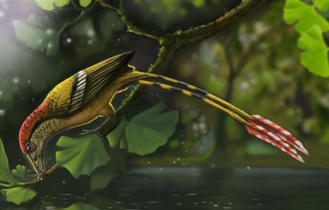 Les chercheurs viennent le 2 juin 2015, de percer le mystère d'un oiseau âgé de 115 million d'années, fossilisé avec ses plumes et en trois dimensions découvert en 2011 au Brésil Les chercheurs viennent le 2 juin 2015, de percer le mystère d'un oiseau âgé de 115 million d'années, fossilisé avec ses plumes et en trois dimensions découvert en 2011 au Brésil