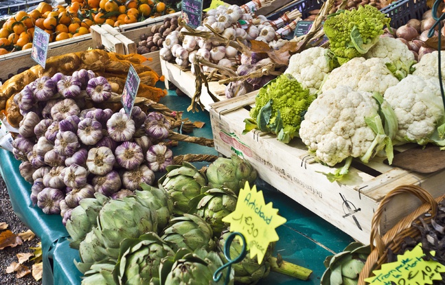 Illustration de légumes d'automne sur un marché. Illustration de légumes d'automne sur un marché.