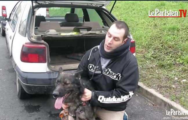 Val d'Oise: Il enfermait son chien toute la journée dans le coffre de ...