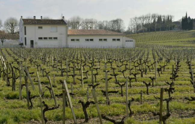 L'école élémentaire de Villeneuve-de-Blaye près de Bordeaux le 23 mars 2016, où élèves et professeurs souffrent de pathologies liées à l'utilisation de produits phytosanitaires dans les vignes alentour L'école élémentaire de Villeneuve-de-Blaye près de Bordeaux le 23 mars 2016, où élèves et professeurs souffrent de pathologies liées à l'utilisation de produits phytosanitaires dans les vignes alentour