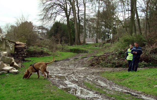 FRANCE, Ribécourt-Dreslincourt : This handout photograph released by the French Gendarmerie of Compeigne shows gendarmes using a Saint-Hubert dog to search for missing teen Bruno Dovergne on December 26, 2012 near Ribecourt-Dreslincourt one week after the Down Syndrome affected 17 year old disappeared from the Compiegne region. ---EDITORS NOTE---HANDOUT RESTRICTED TO EDITORIAL USE - MANDATORY CREDIT "AFP PHOTO / Gendarmerie de Compiegne " - NO MARKETING NO ADVERTISING CAMPAIGNS - DISTRIBUTED AS A SERVICE TO CLIENTS - AFP PHOTO / Gendarmerie de Compiegne FRANCE, Ribécourt-Dreslincourt : This handout photograph released by the French Gendarmerie of Compeigne shows gendarmes using a Saint-Hubert dog to search for missing teen Bruno Dovergne on December 26, 2012 near Ribecourt-Dreslincourt one week after the Down Syndrome affected 17 year old disappeared from the Compiegne region. ---EDITORS NOTE---HANDOUT RESTRICTED TO EDITORIAL USE - MANDATORY CREDIT "AFP PHOTO / Gendarmerie de Compiegne " - NO MARKETING NO ADVERTISING CAMPAIGNS - DISTRIBUTED AS A SERVICE TO CLIENTS - AFP PHOTO / Gendarmerie de Compiegne