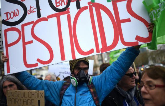 Un manifestant tenant une pancarte sur laquelle il est écrit "Stop Pesticides" le 26 mars 2016 à Paris Un manifestant tenant une pancarte sur laquelle il est écrit "Stop Pesticides" le 26 mars 2016 à Paris