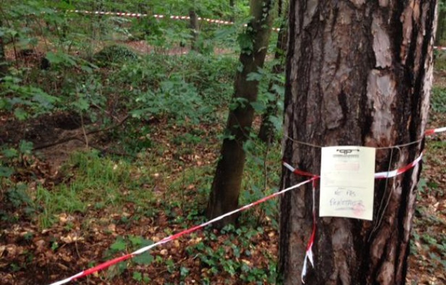 Le lieu où a été découvert un tronc humain dans le Bois de Vincennes, le 18 juin 2012. Le lieu où a été découvert un tronc humain dans le Bois de Vincennes, le 18 juin 2012.