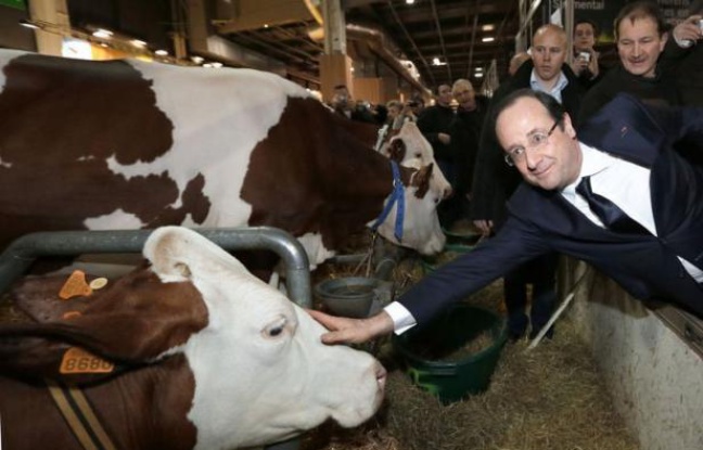 Le président François Hollande a promis un soutien "exceptionnel" aux producteurs laitiers et, réagissant au scandale du cheval, exigé un "étiquetage obligatoire" sur l'origine des viandes dans les plats cuisinés, en inaugurant samedi à Paris le 50e Salon de l'Agriculture. Le président François Hollande a promis un soutien "exceptionnel" aux producteurs laitiers et, réagissant au scandale du cheval, exigé un "étiquetage obligatoire" sur l'origine des viandes dans les plats cuisinés, en inaugurant samedi à Paris le 50e Salon de l'Agriculture.