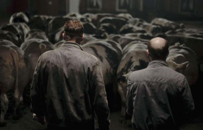 Image extraite du film Bullhead. Image extraite du film Bullhead.