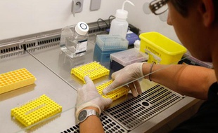 Pour la 1ère fois au monde, le germe de la bactérie Escherichia Coli (E Coli) responsable d'une dizaine d'intoxications dans le Nord, a été séquencé en moins de trois jours par les chercheurs de l'Institut Pasteur. Lille, le 5 juillet 2011.