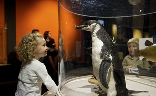 L'exposition Bébés animaux à la Cité des sciences (Paris 19e) du