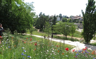 Lyon, le 05 Juin 2014
Cache de tout le monde, meconnu des Lyonnais, le parc du Vallon a la Duchere a ete entierement reamanege. Il s'est ouvert sur le quartier.