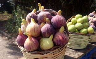 Des figues