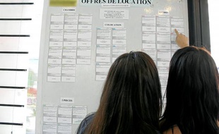 A Nice, le Centre régional information jeunesse dispose encore d'une quarantaine d'annonces de logements étudiants.