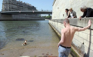 Les eaux de la Seine sont particulièrement polluées en PCB.