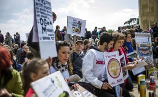 Des milliers de personnes ont manifesté samedi dans plusieurs villes européennes, notamment aux Pays-Bas, en France, en Autriche et en Allemagne, pour protester contre le géant américain de l'agrochimie Monsanto, et plus généralement contre les OGM, pesticides et autres produits chimiques.