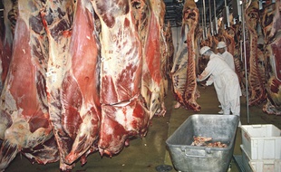 Un abattoir à bovins dans l'Ouest de la France (illustration).