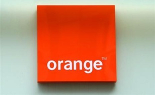 Orange (France Télécom) a déposé une offre sur chacun des douze lots proposés par la Ligue de football professionnel (LFP) dans le cadre de son appel d'offres sur les droits audiovisuels de la Ligue 1 pour 2008-2012, selon une information publiée mercredi par Les Echos.