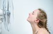 Canicule : Le ventilateur peut-il vraiment nous faire tomber malade ?