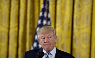 Donald trump