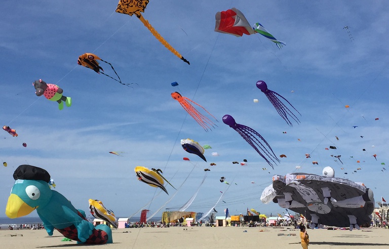 Video Berck Sur Mer Fait La Fete Aux Cerfs Volants Video Berck Sur Mer Fait La Fete Aux Cerfs Volants