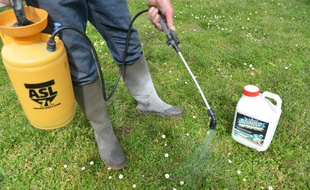 Un jardinier utilisant des produits phytosanitaires pour désherber. (Illustration).