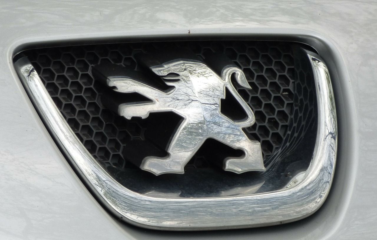 L'automobilise aimerait confier sa voiture à Peugeot pour qu'elle soit analysée. Illustration.