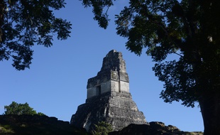 Le temple maya du grand jaguar, une pyramide construite vers 700 sur le site de Tikal, au Guatemala.