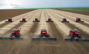 Plusieurs centaines de chercheurs brésiliens travaillent pour préparer l'agriculture de ce pays, grand exportateur d'aliments, à faire face aux effets du changement climatique et à le protéger contre l'arrivée éventuelle de fléaux agricoles.