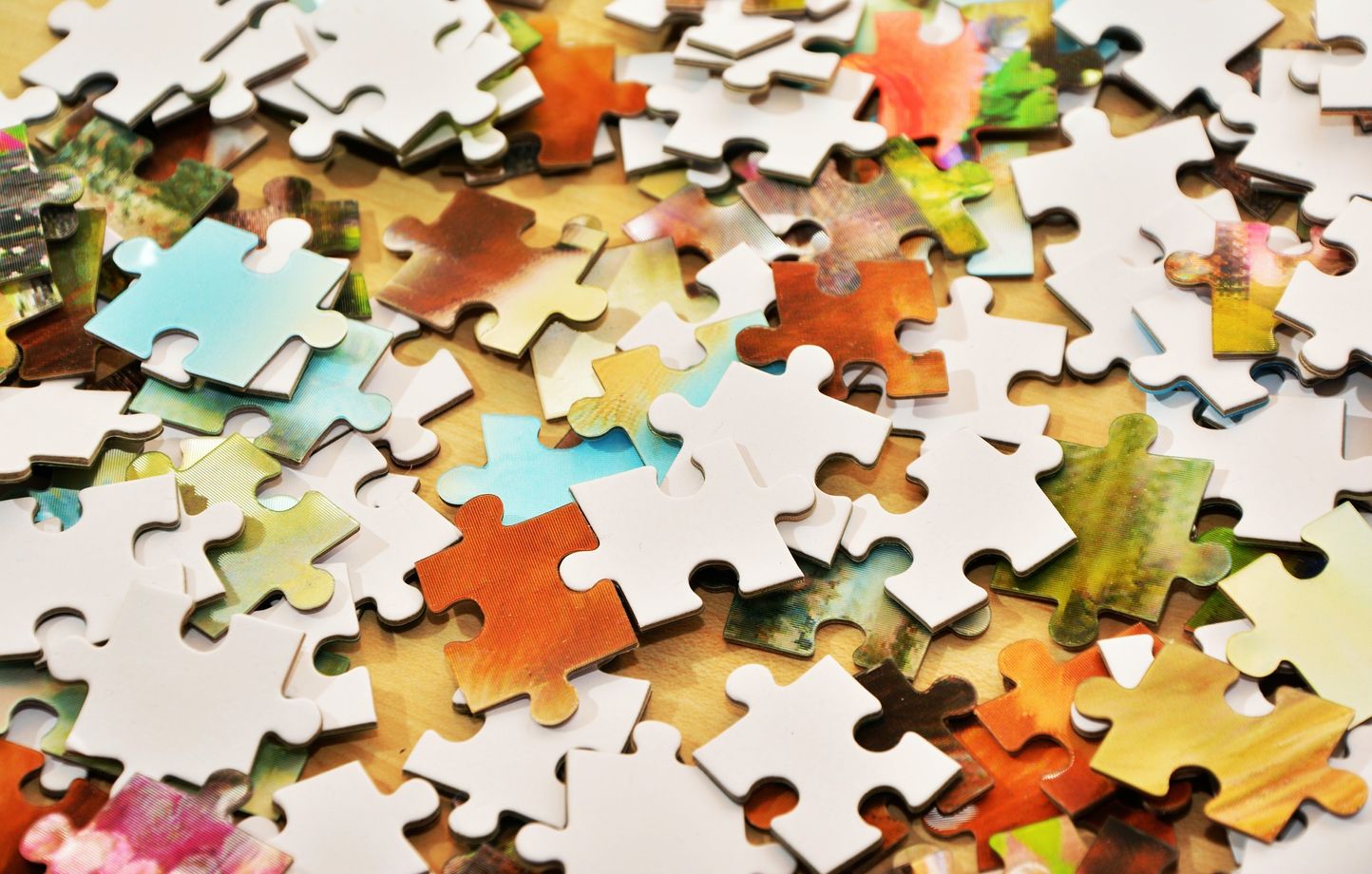 Oise 54.000 pièces et près de 9 mètres de long, Méru veut réaliser le plus grand puzzle du monde