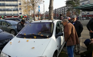 L'arbre traverse l'habitacle de ce Renault Scénic. Comme s'il avait poussé subitement.