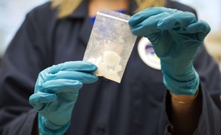Un sachet de Fentanyl saisi par les autorités américaines lors d'une opération anti-drogue, photographié le 9 août 2016.