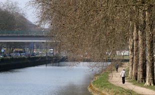 Les rives de la Deûle, à Lille (Archives)