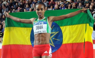 L'Ethiopienne Genzebe Dibaba a remporté la finale du 1500 m des Mondiaux d'athlétisme en salle, en 4 min 05 sec 78/100e, en devançant la Marocaine Mariem Alaoui Selsouli et la Turque Asli Cahir Alptekin, samedi à Istanbul.